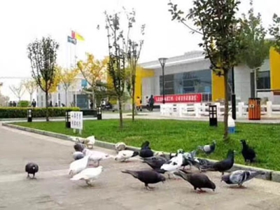 北京東方時尚駕校園區