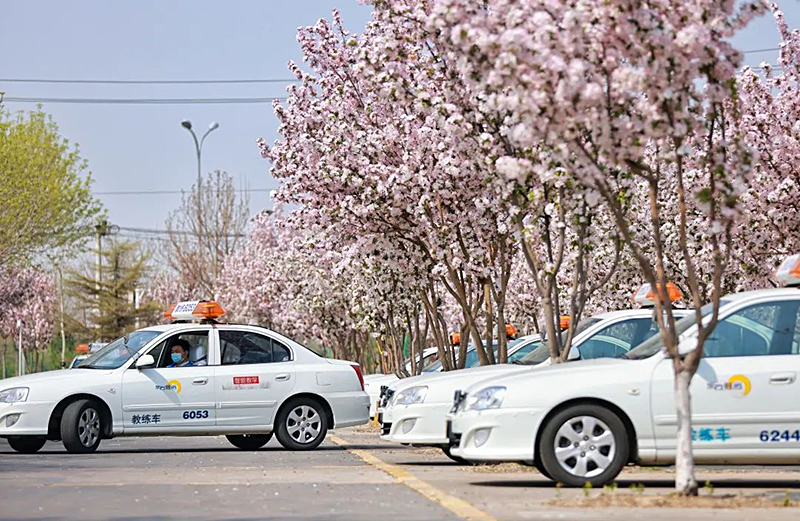 考駕照科一考試口訣速記簡(jiǎn)單