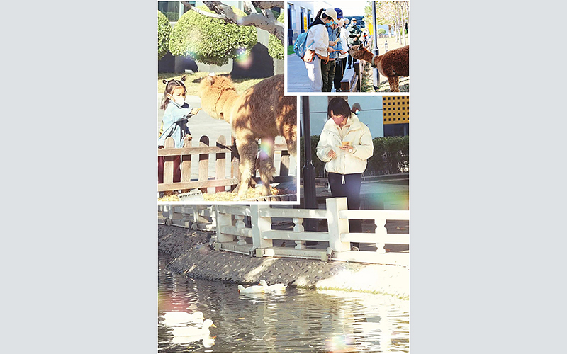 東方時(shí)尚駕校服務(wù)指南